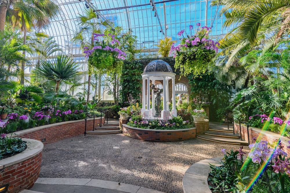 Paul Wiegman Palm Room