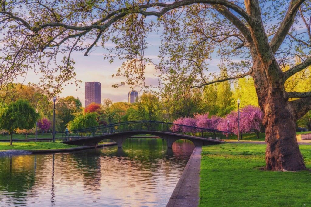 474075198 1149973879832900 8265177929315933511 N