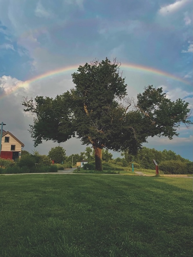 Original E4b35cf6 F895 43f0 9bde 849e4b2682e7