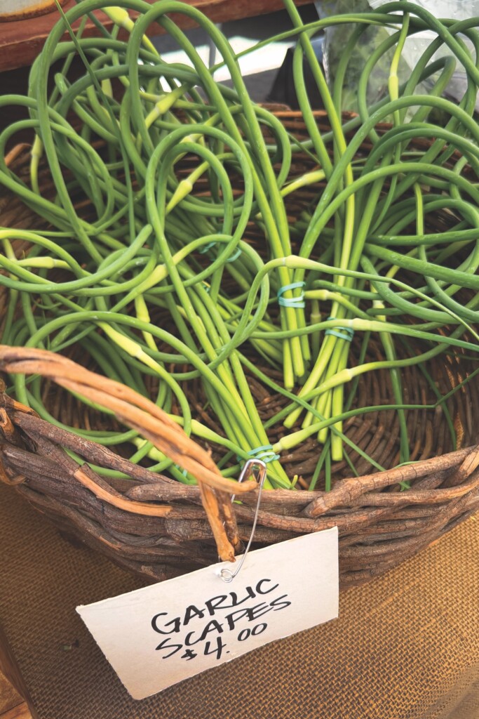Garlic Scapes