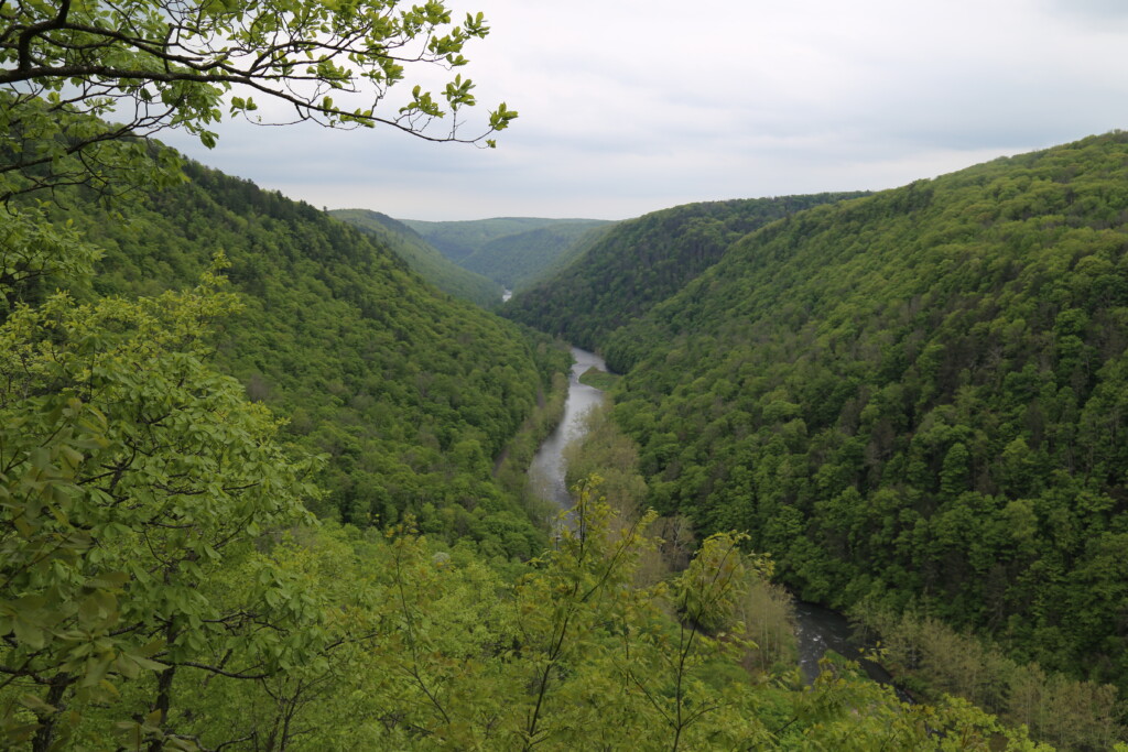 Leha Canyon Spring Green Copy